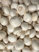 Mushrooms per 250 g