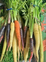 heritage carrots bunch